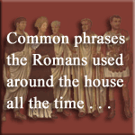 Funny Latin phrases